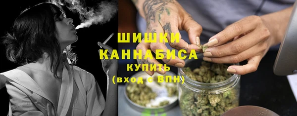 круглые Иннополис