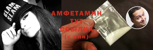 apvp Инсар