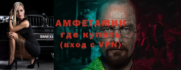 apvp Инсар