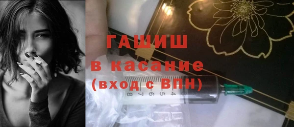 сатива Инта