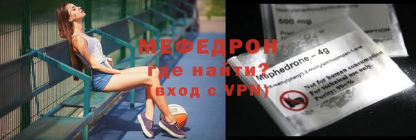 сатива Инта