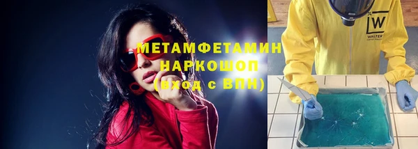 сатива Инта