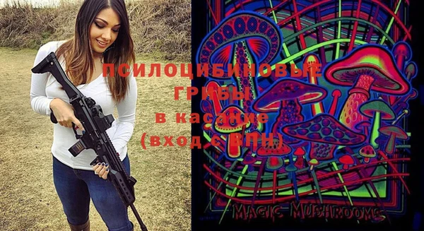 круглые Иннополис