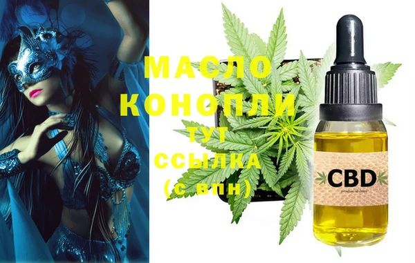 apvp Инсар