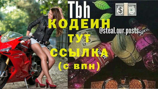 сатива Инта