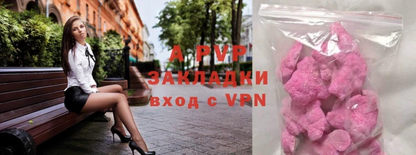 apvp Инсар