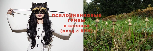 ешки Кущёвская