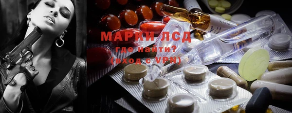 apvp Инсар