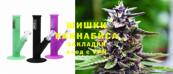 сатива Инта