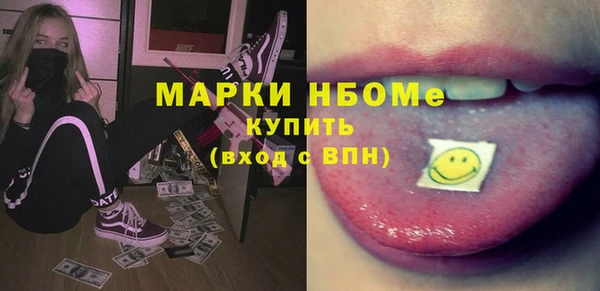 сатива Инта