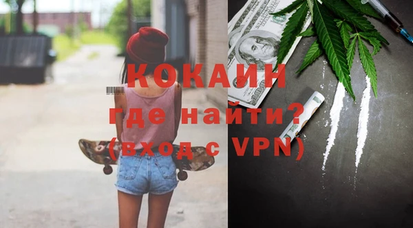 apvp Инсар