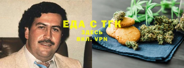 сатива Инта