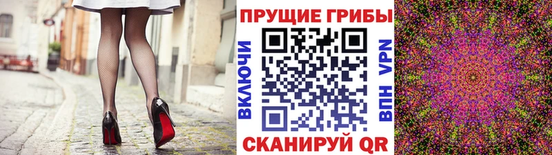 как найти закладки  Элиста  Псилоцибиновые грибы Magic Shrooms 
